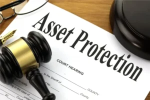 Asset Protection Agreement 